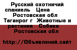 Русский охотничий спаниель › Цена ­ 3 000 - Ростовская обл., Таганрог г. Животные и растения » Собаки   . Ростовская обл.